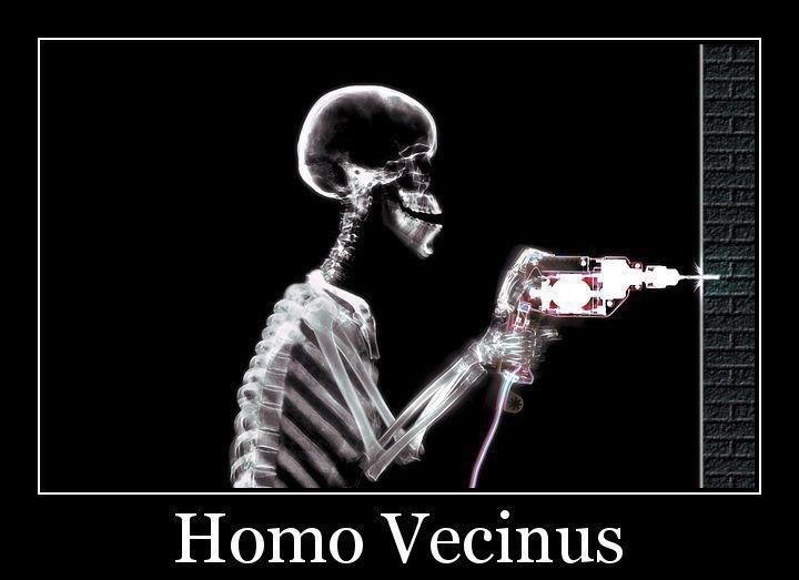 homo vecinus