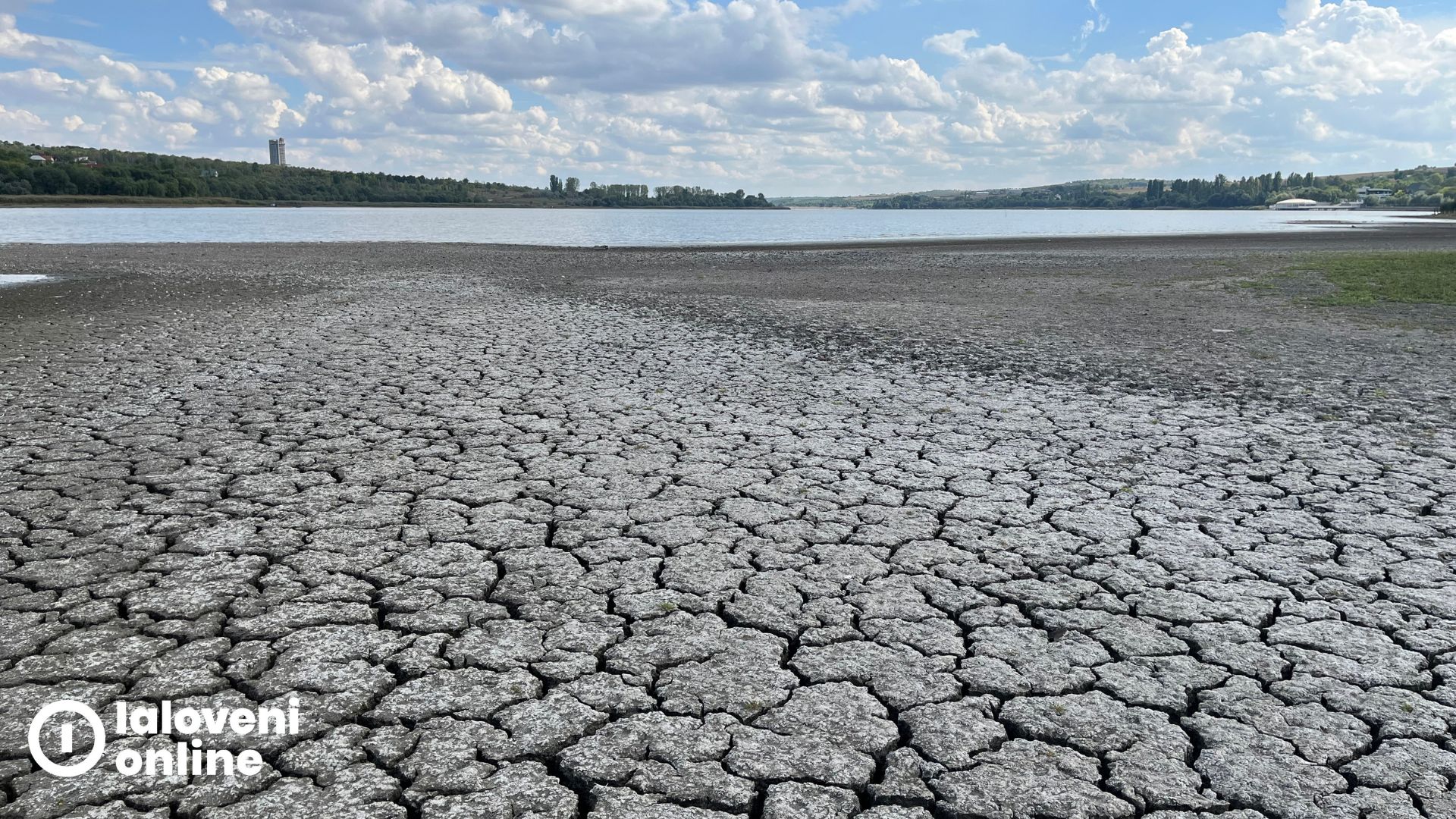 Lacul Danceni IaloveniOnline